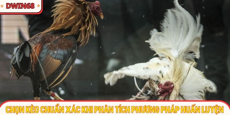 Chọn kèo chuẩn xác khi phân tích phương pháp huấn luyện