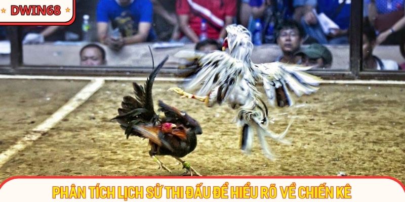 Phân tích lịch sử thi đấu để hiểu rõ về chiến kê