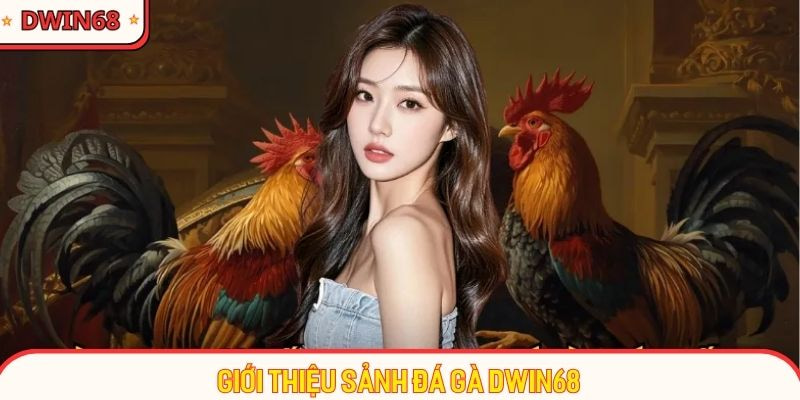 Thông tin về sảnh chọi gà online hot hit tại Dwin68