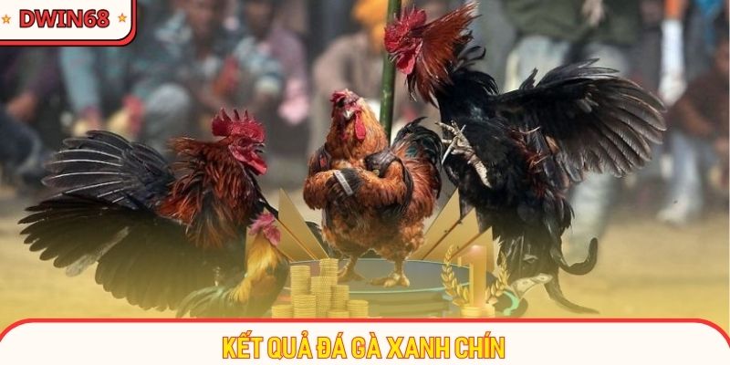 Danh mục chọi gà đảm bảo kết quả xanh chín cho người chơi